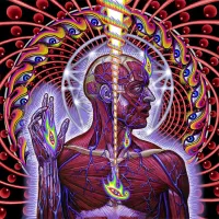 Cover for Lateralus Tool